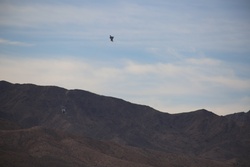 USAF F35’s train at the National Training Center