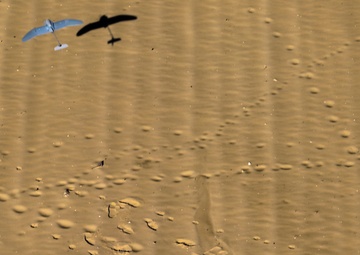 26th MEU Marines refine skills at live bombing range