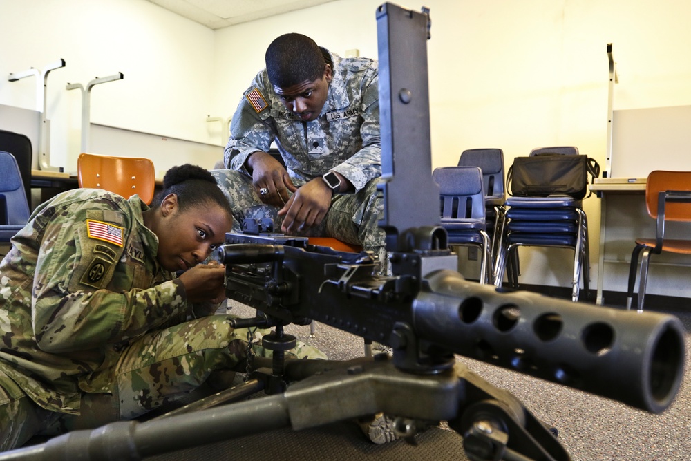 Operation Cold Steel II