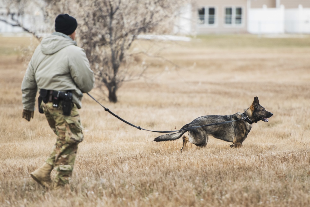 791 MSFS marksmen, 5 SFS MWD teams participate in joint-unit training