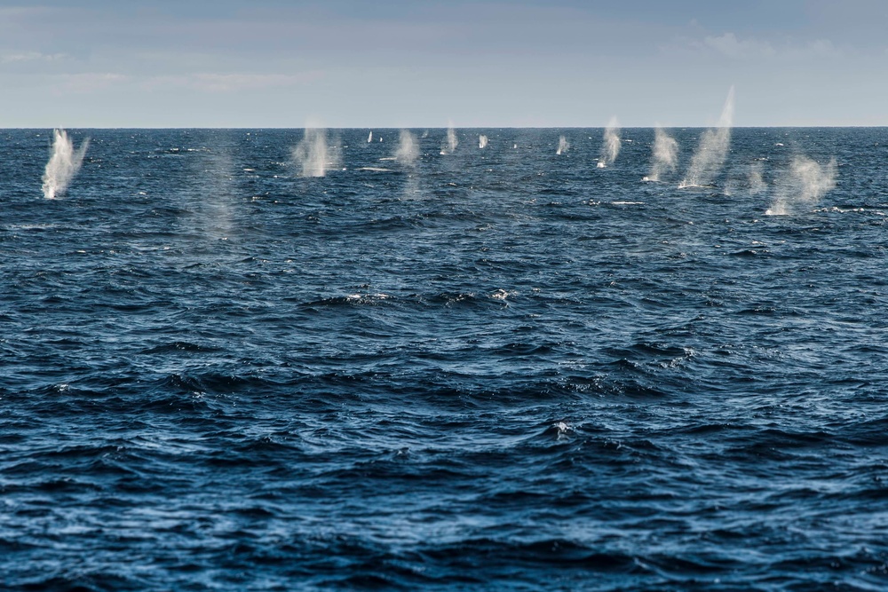 Navy-Marine Corps Team Conducts Live Fire Drill at Sea