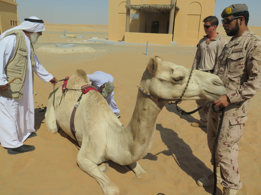 15th MEU's Maritime Raid Force participates in Bedouin Falcon during Iron Magic 2018