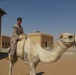 15th MEU's Maritime Raid Force participates in Bedouin Falcon during Iron Magic 2018