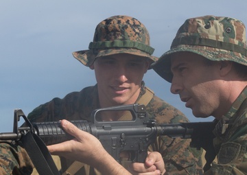 BSRF 17.2 Heleborne Raid