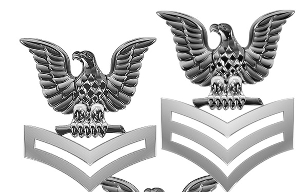 Fleet Cyber Command Advances New Petty Officers