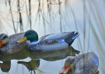 Humbled hunter recalls mistakes in the marsh