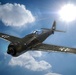 Focke Wulf 190D - Haynes Final Flight