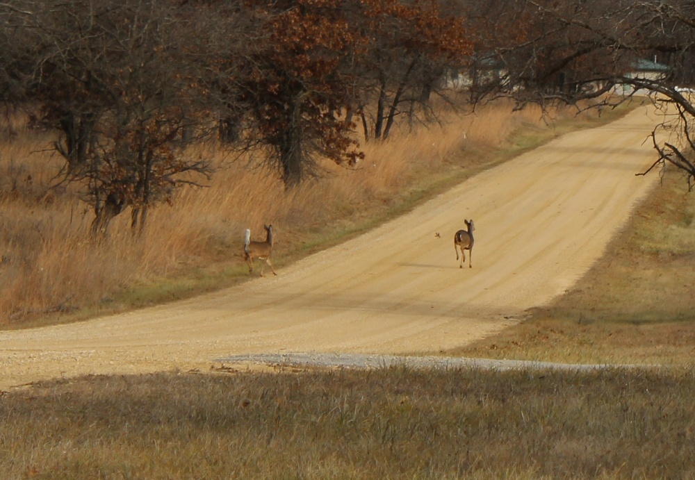 Archery seasons return at Fort McCoy through December to early January