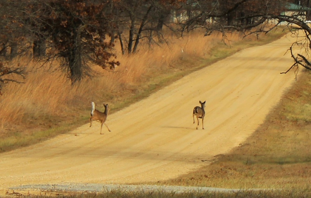 Archery seasons return at Fort McCoy through December to early January