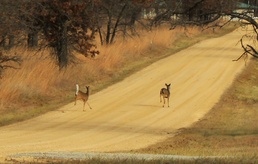 Archery seasons return at Fort McCoy through December to early January