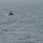 USS Pearl Harbor performs RHIB operations USS Pearl Harbor performs RHIB operations