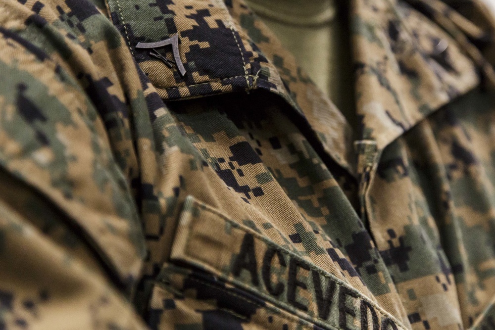 Reaching for Sucess: Marines Stand NCO Promotion Panel for Next Rank