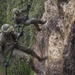 Hawaii, East Coast, West Coast Marines participate in 3rd Marine Division Annual Squad Competition