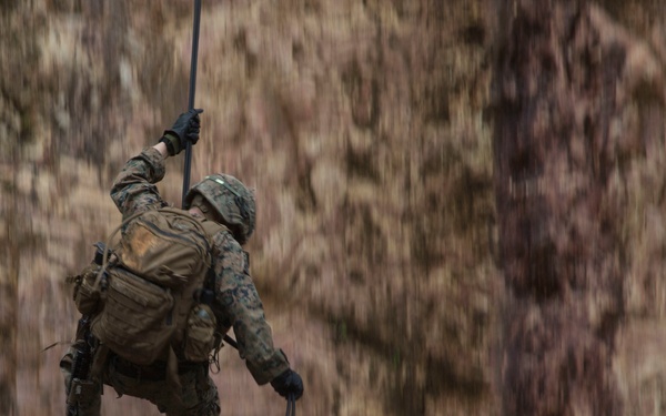 Hawaii, East Coast, West Coast Marines participate in 3rd Marine Division Annual Squad Competition