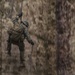 Hawaii, East Coast, West Coast Marines participate in 3rd Marine Division Annual Squad Competition
