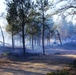 Late-fall Prescribed Burn at Fort McCoy