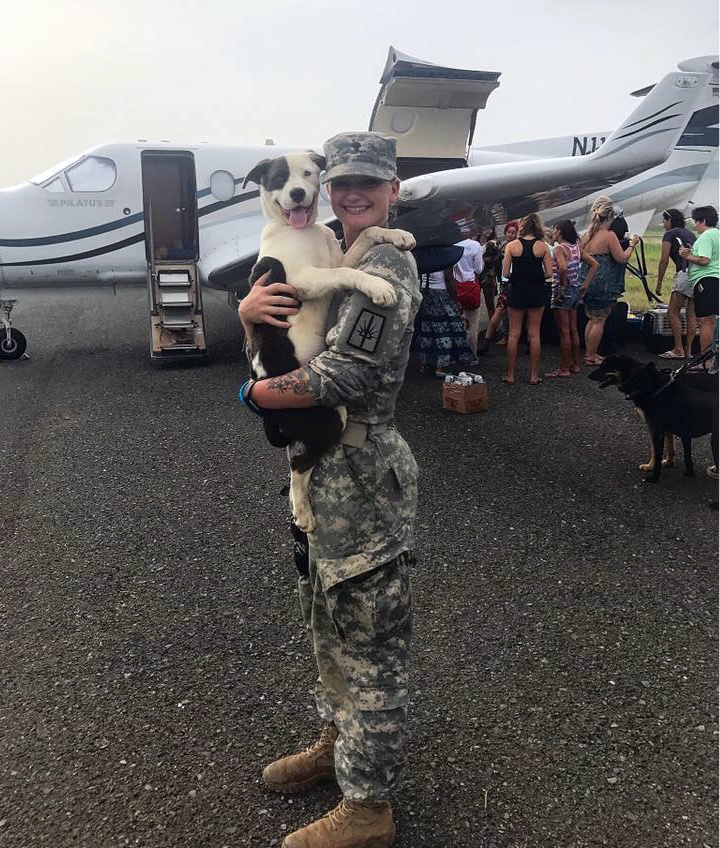 New York Guard MP Adopts Virgin Islands Dog