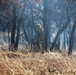 Late-fall Prescribed Burn at Fort McCoy