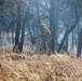 Late-fall Prescribed Burn at Fort McCoy