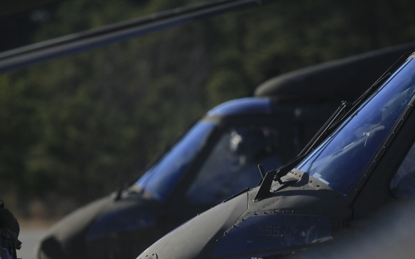 Army Aviation training