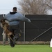Military working dog obedience course opens