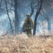 Late-fall Prescribed Burn at Fort McCoy