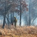 Late-fall Prescribed Burn at Fort McCoy