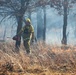 Late-fall Prescribed Burn at Fort McCoy