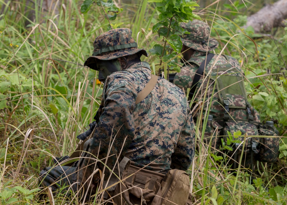 U.S. Marines, Malaysian Armed Forces integrate for amphibious assault