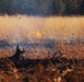 Late-fall Prescribed Burn at Fort McCoy