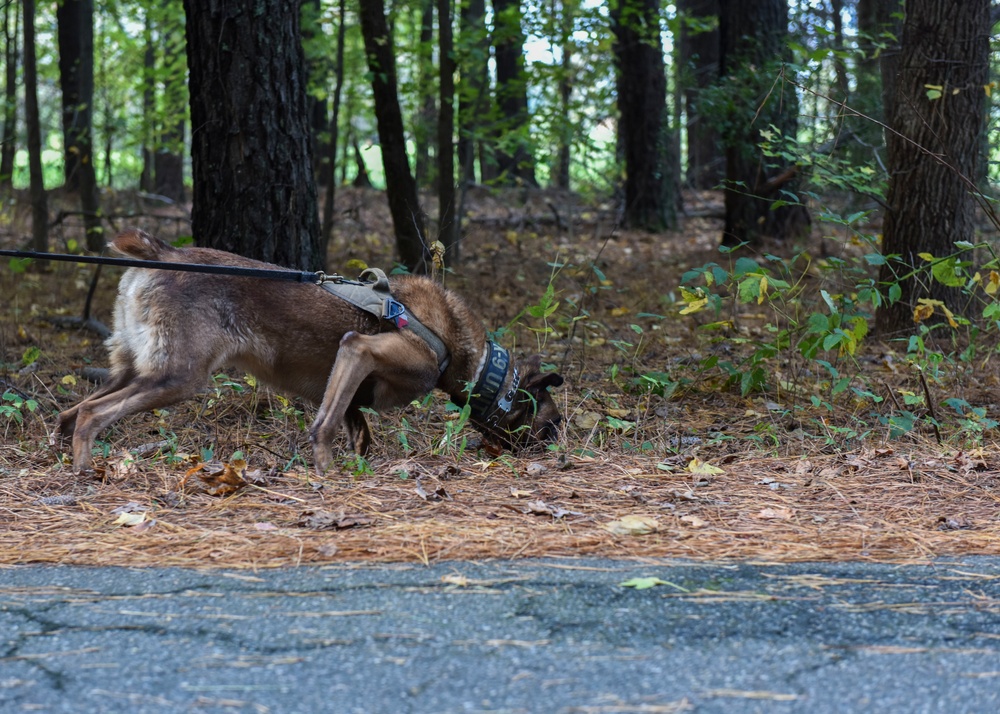 SFS keeps K9s deployment ready