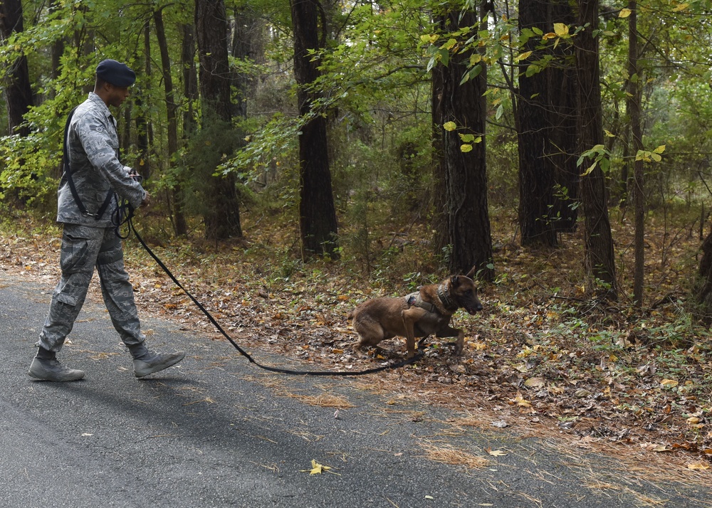 SFS keeps K9s deployment ready