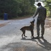 SFS keeps K9s deployment ready