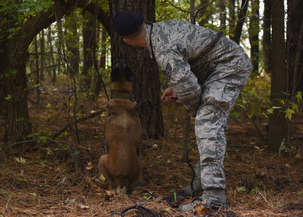 SFS keeps K9s deployment ready