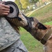 SFS keeps K9s deployment ready