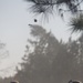 Frag Out! America’s Battalion begins deployment exercise with grenade range