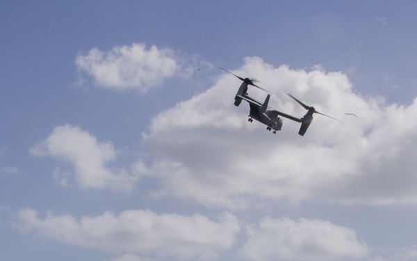 CAC conducts long range swim training exercise