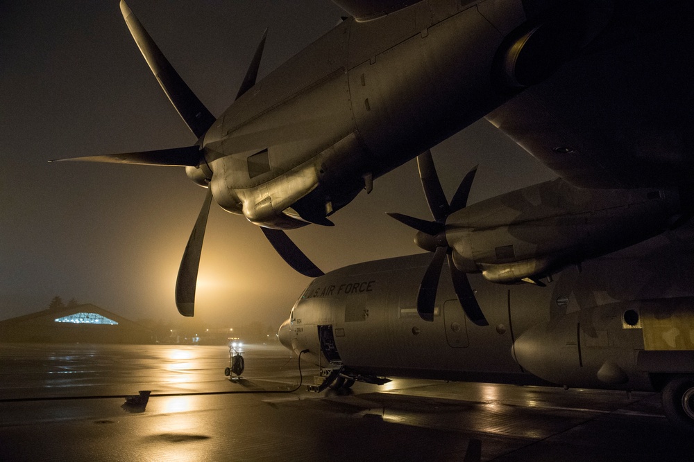 Vigilant Ace 18