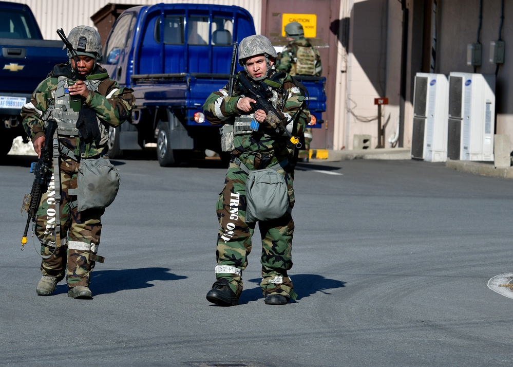 Exercise Vigilant Ace 18