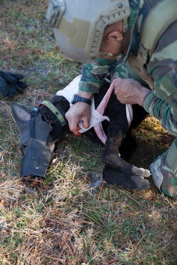 Robot dog improves SOF medical practices