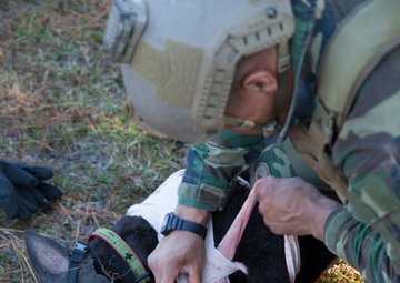 Robot dog improves SOF medical practices