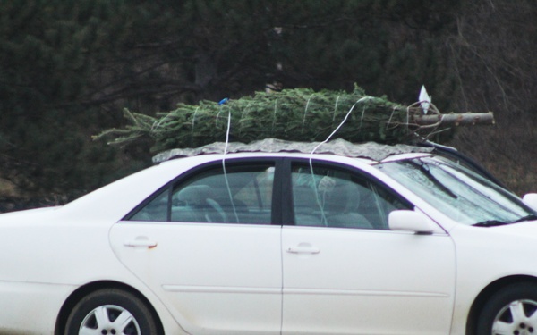 Fort McCoy military members receive trees through Trees for Troops