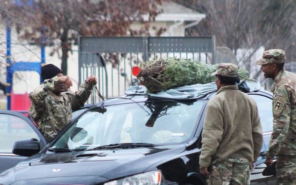 Fort McCoy military members receive trees through Trees for Troops