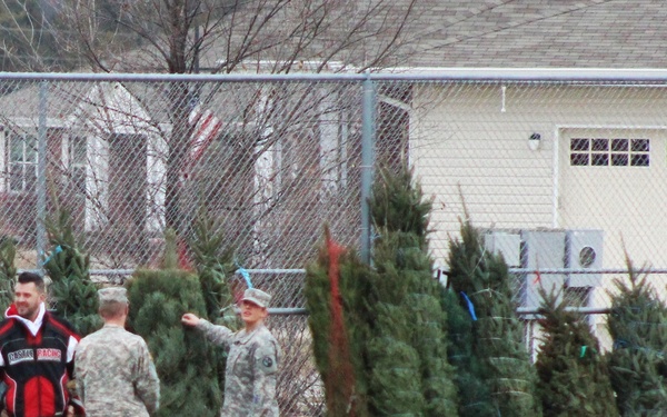 Fort McCoy military members receive trees through Trees for Troops