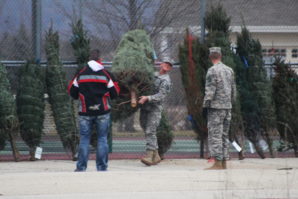 Fort McCoy military members receive trees through Trees for Troops