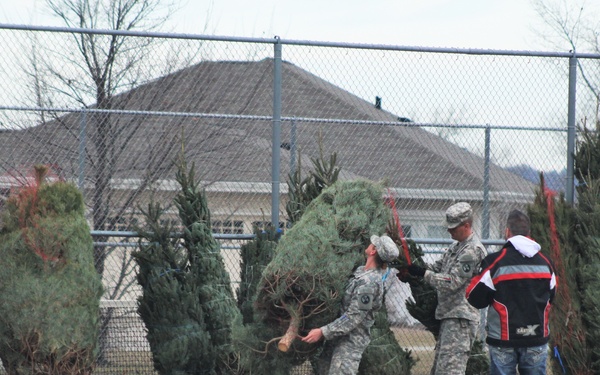 Fort McCoy military members receive trees through Trees for Troops