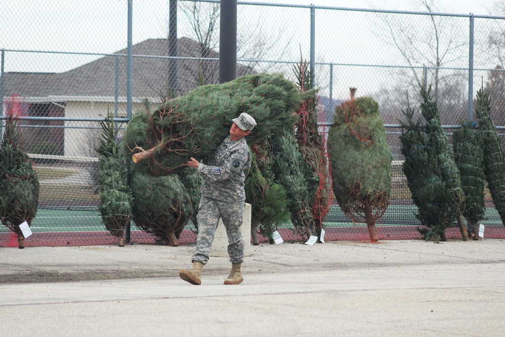 Fort McCoy military members receive trees through Trees for Troops