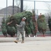 Fort McCoy military members receive trees through Trees for Troops