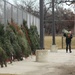 Fort McCoy military members receive trees through Trees for Troops