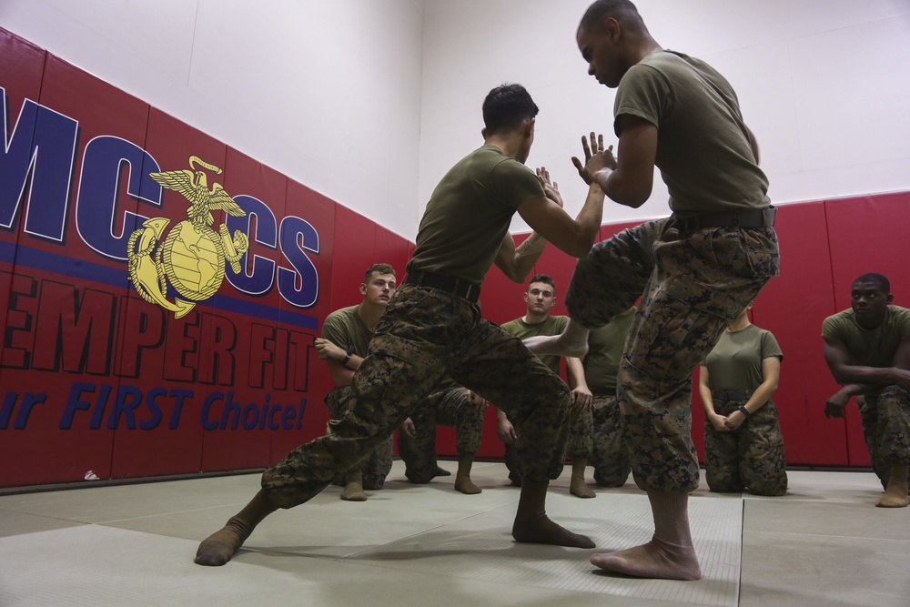 Cpl. Carpintero's route to Marine Corps Martial Arts Instructor status